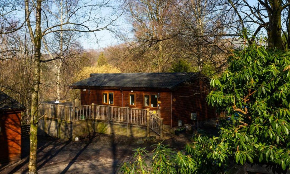 Owls House, White Cross Bay, Ambleside, Windermere Εξωτερικό φωτογραφία
